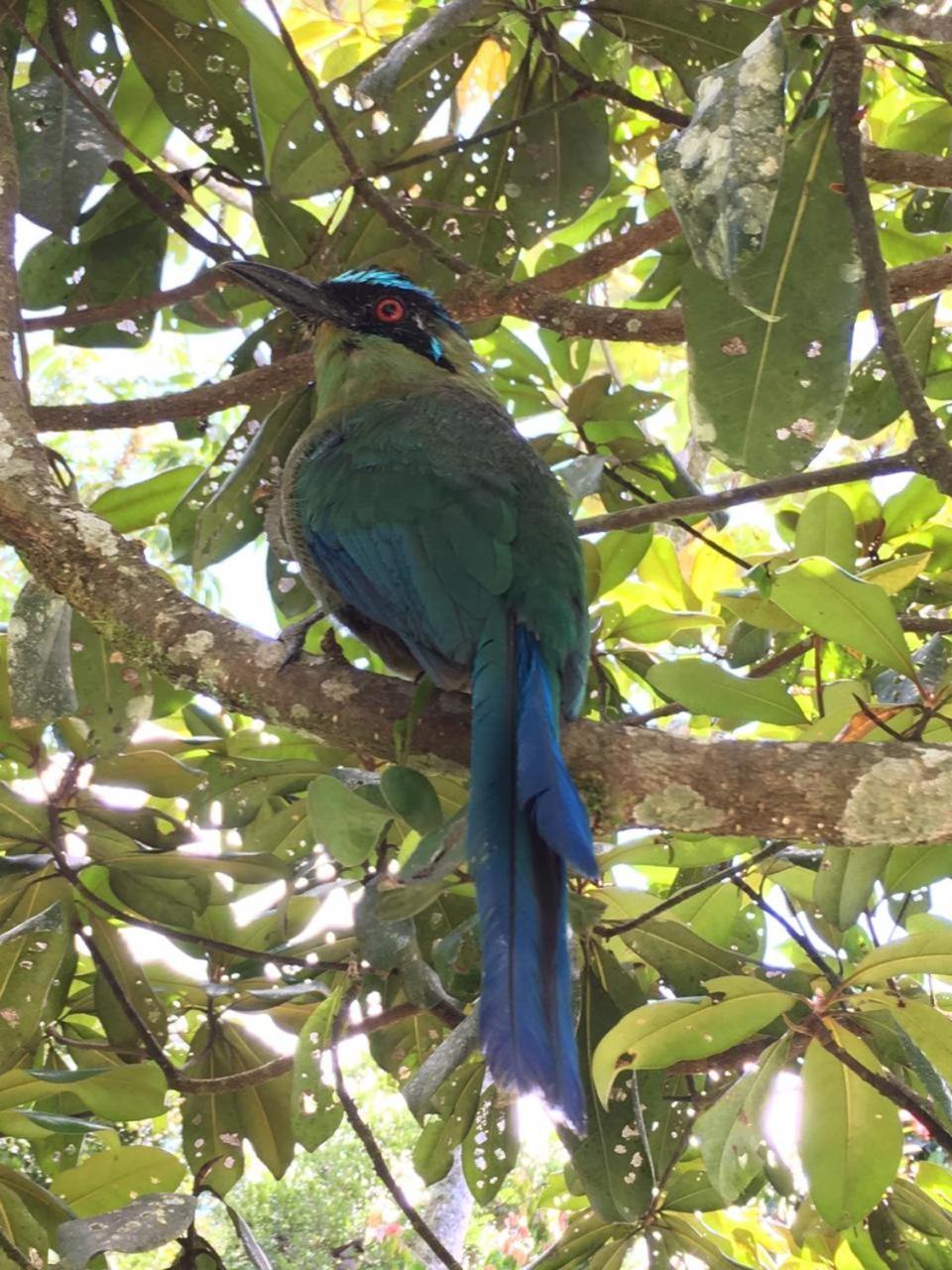 La Serena Reserva Natural Concepcion Zewnętrze zdjęcie