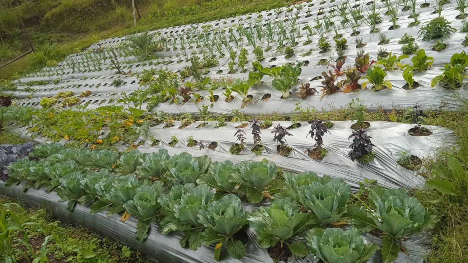 La Serena Reserva Natural Concepcion Zewnętrze zdjęcie