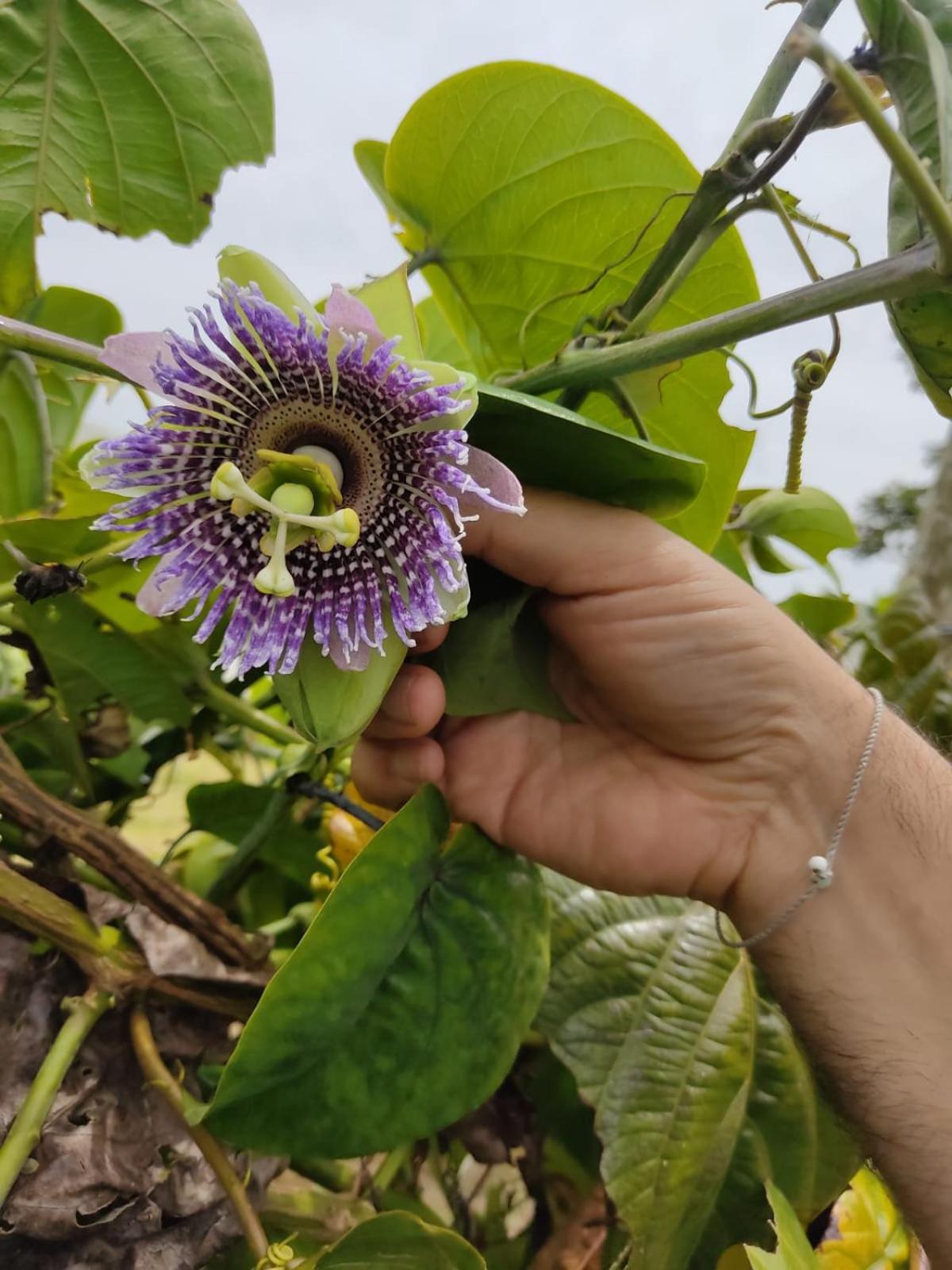 La Serena Reserva Natural Concepcion Zewnętrze zdjęcie