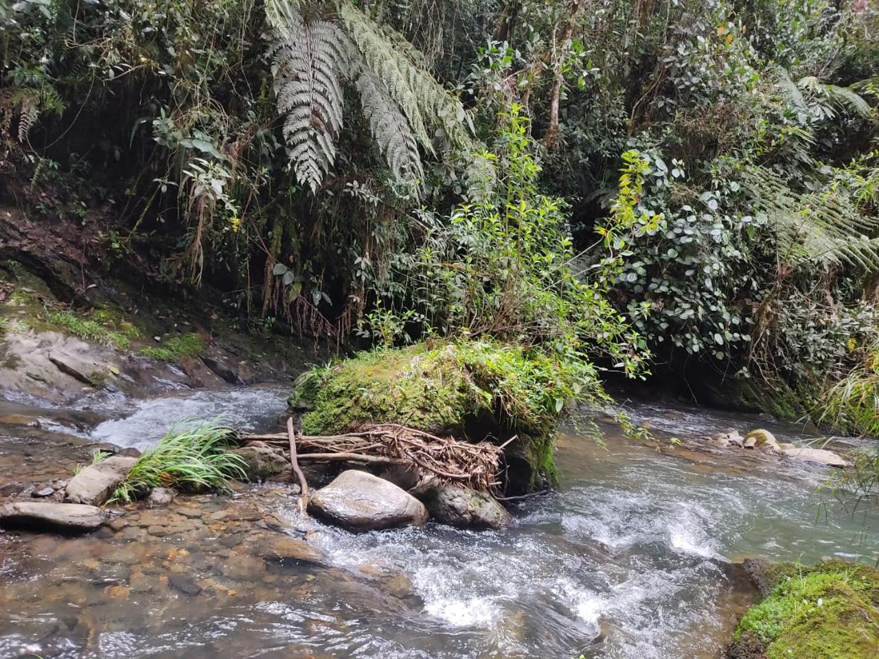 La Serena Reserva Natural Concepcion Zewnętrze zdjęcie