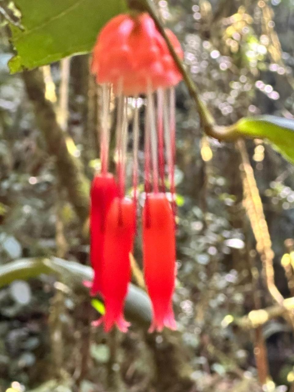 La Serena Reserva Natural Concepcion Zewnętrze zdjęcie