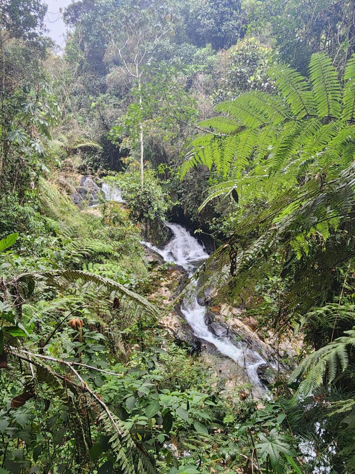 La Serena Reserva Natural Concepcion Zewnętrze zdjęcie